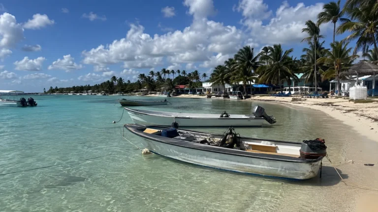 Small boats rest in clear shallow water beside a palm-lined beach.