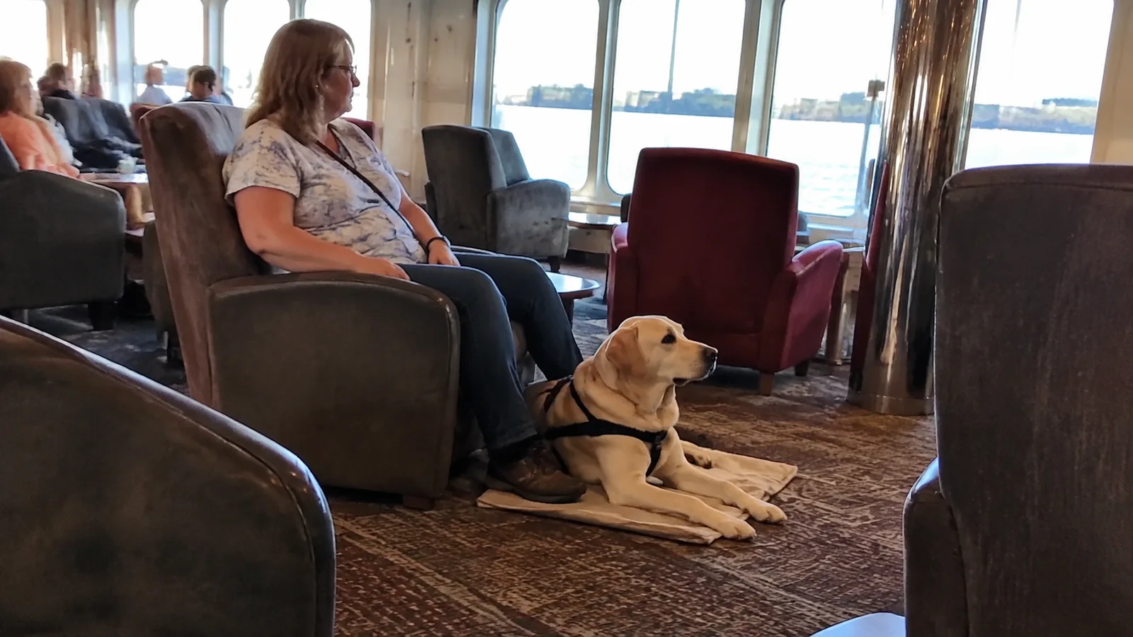 Harnessed dog lying beside a seated passenger in a ship lounge.