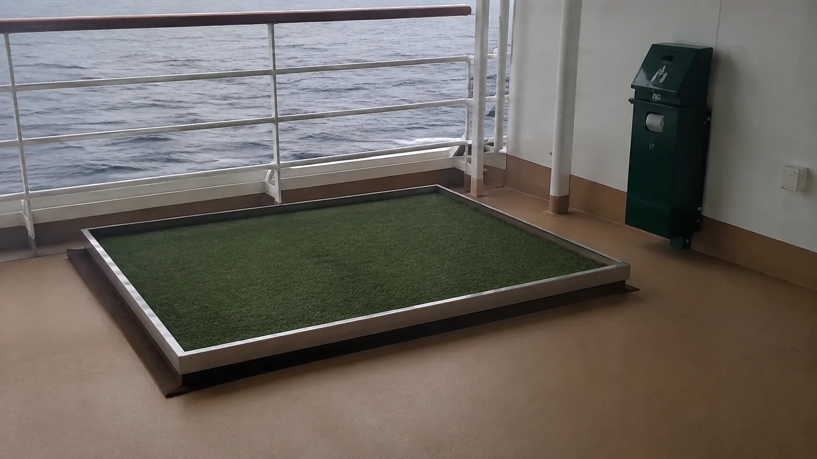 Rectangular artificial-grass pet area on an outside ship deck.