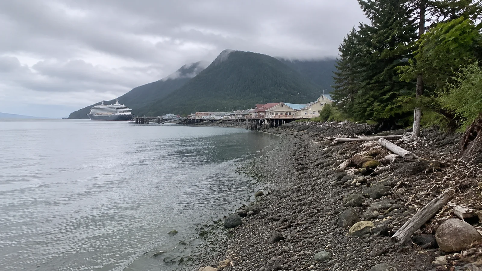 Rocky shoreline with a cruise ship across a misty bay