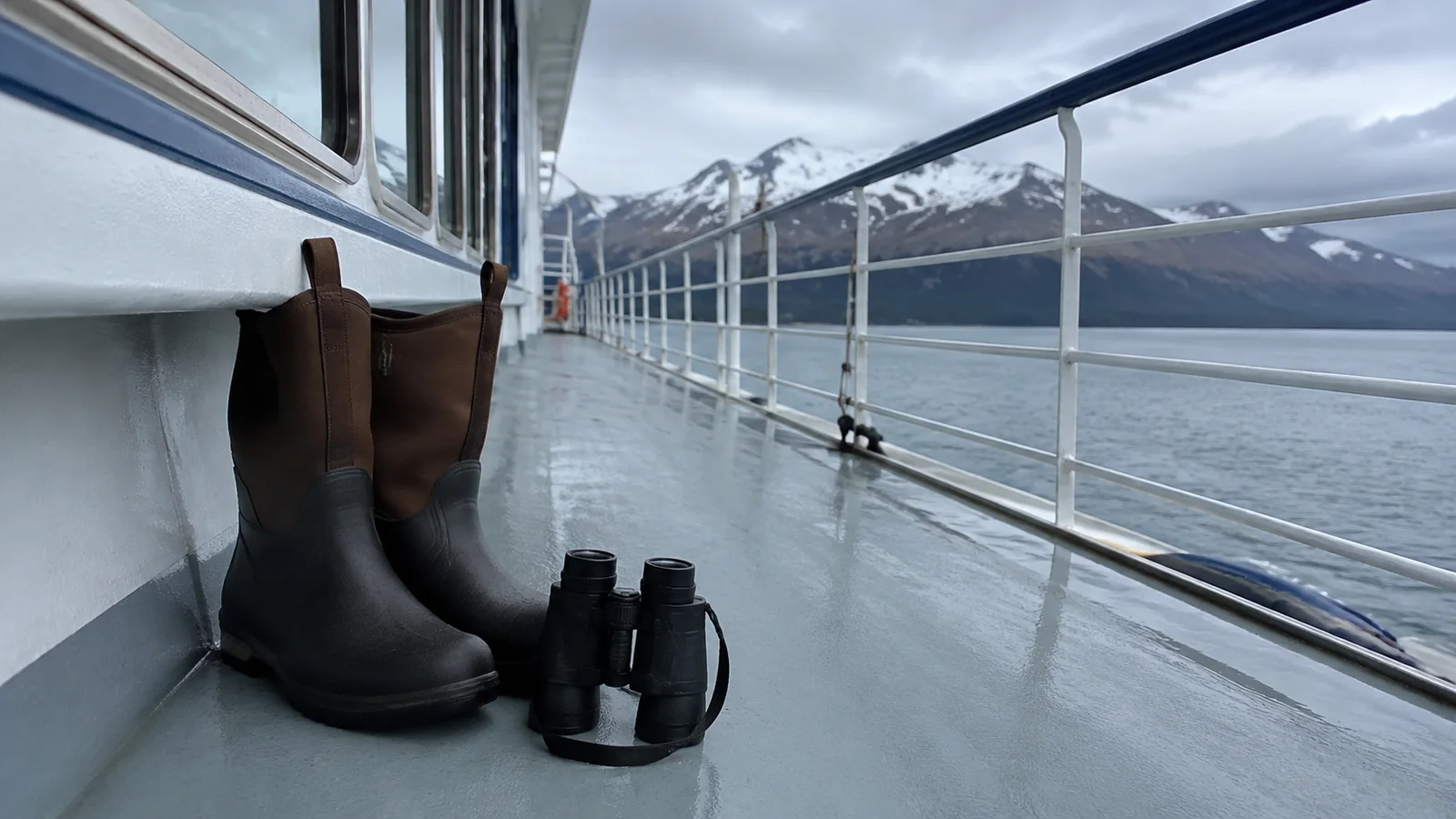 Rubber boots and binoculars on a ship's deck beside a mountain-lined fjord