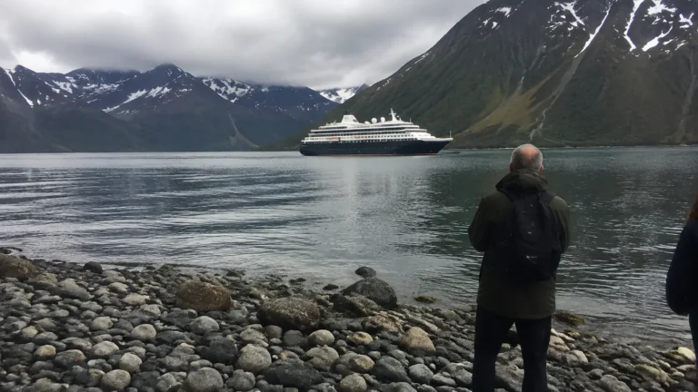 Traveler stands on a rocky shore facing a ship and snowy mountains.