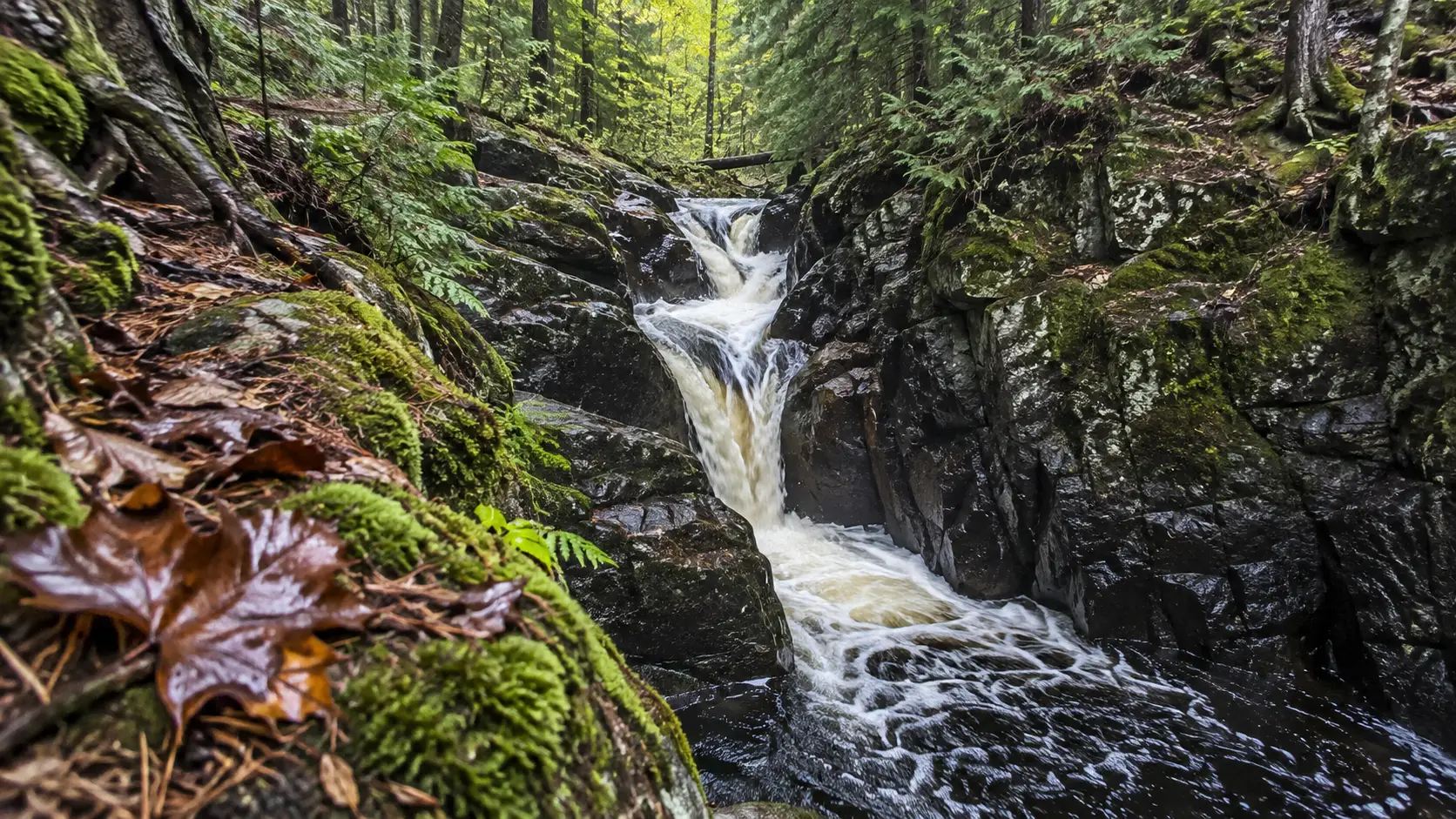 Smalley Falls squeezes through a mossy rock ravine beneath dense woodland.