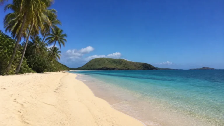 Palm trees border a pale sandy beach and clear turquoise water.
