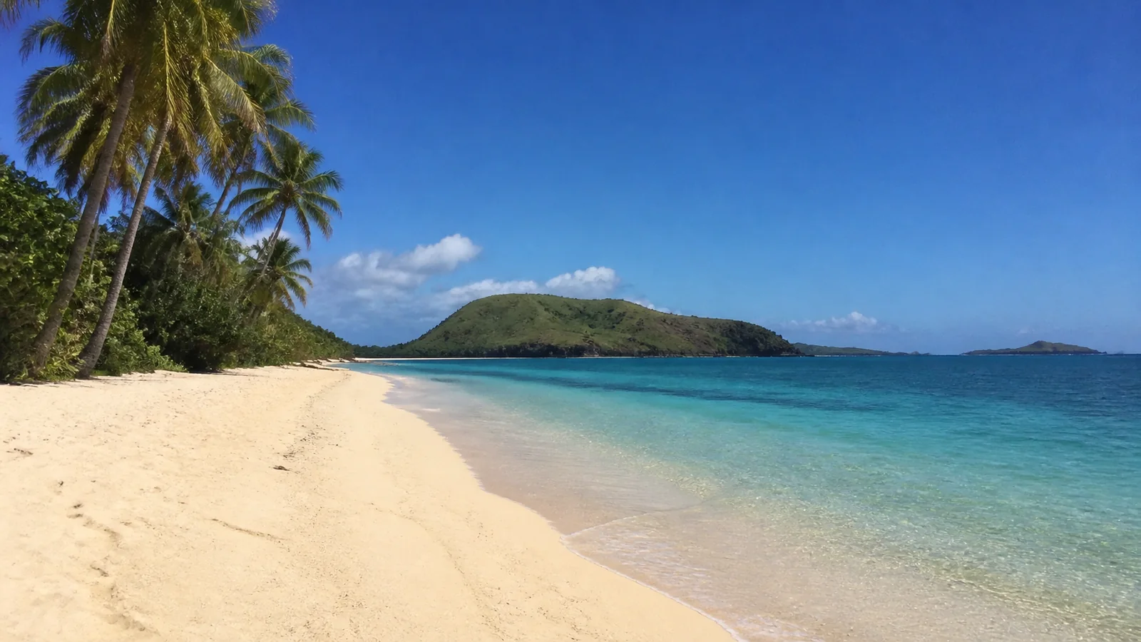 Palm trees border a pale sandy beach and clear turquoise water.