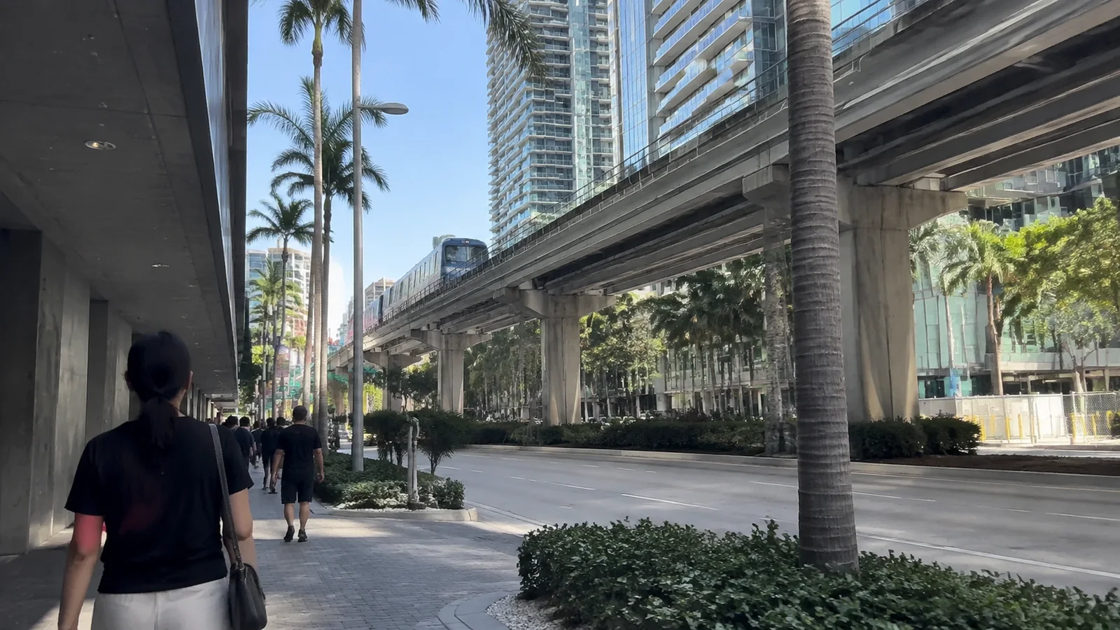 Pedestrians walk beneath an elevated railway among palms and city buildings.