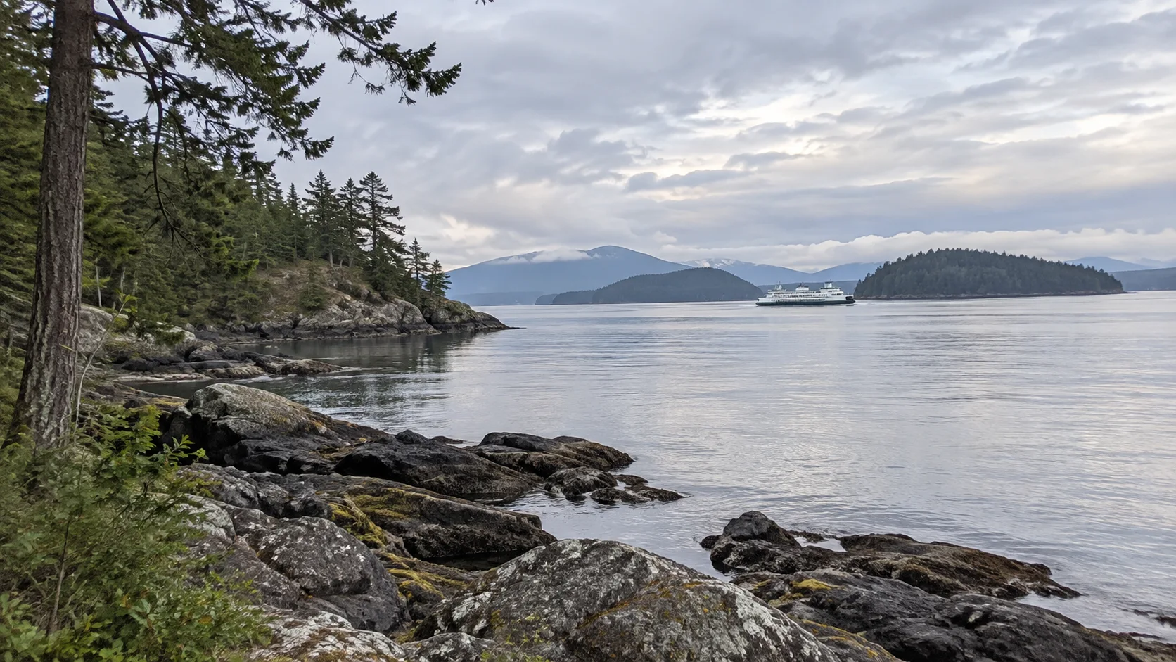 Rocky evergreen shoreline and calm water in Washington’s San Juan Islands.