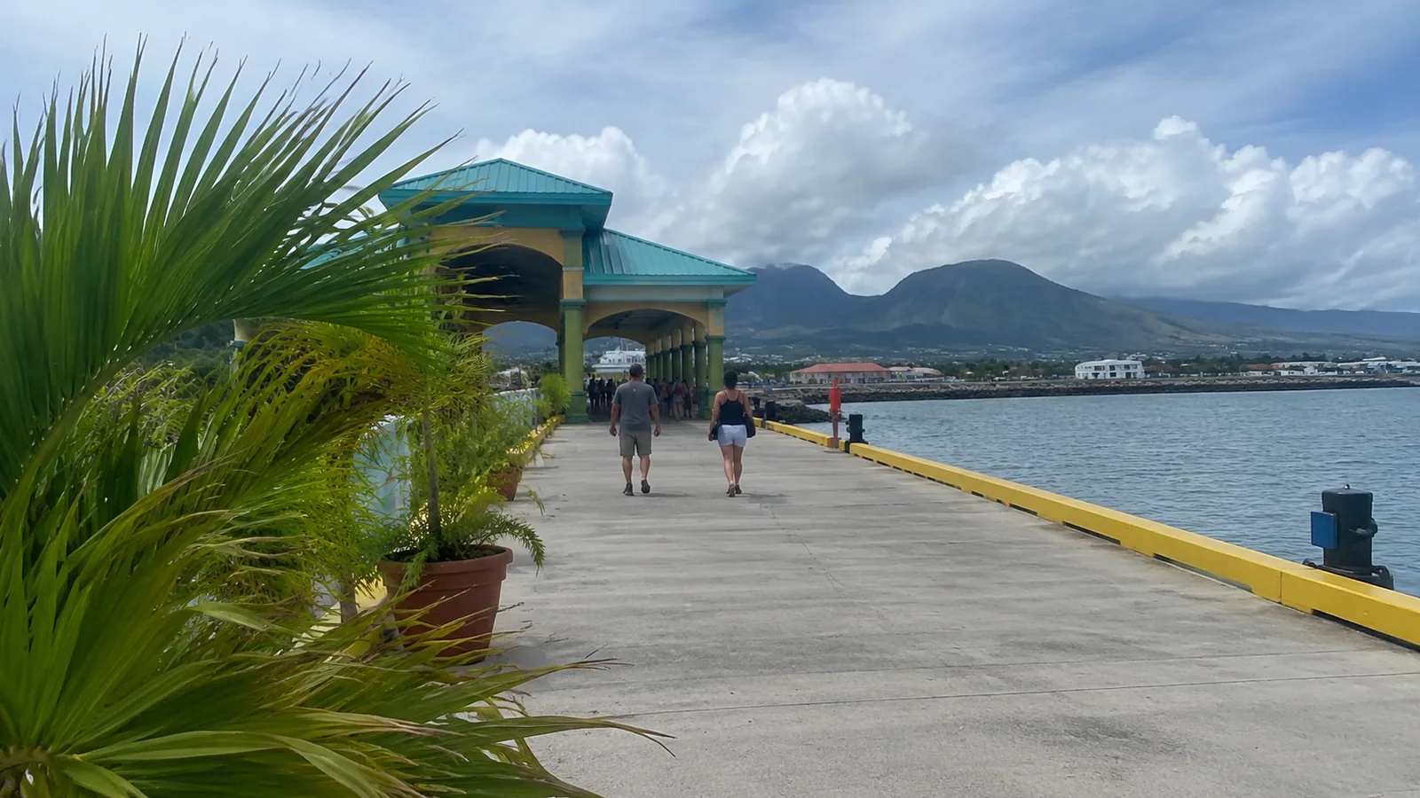 Cruise pier with a palm tree and mountain in the background