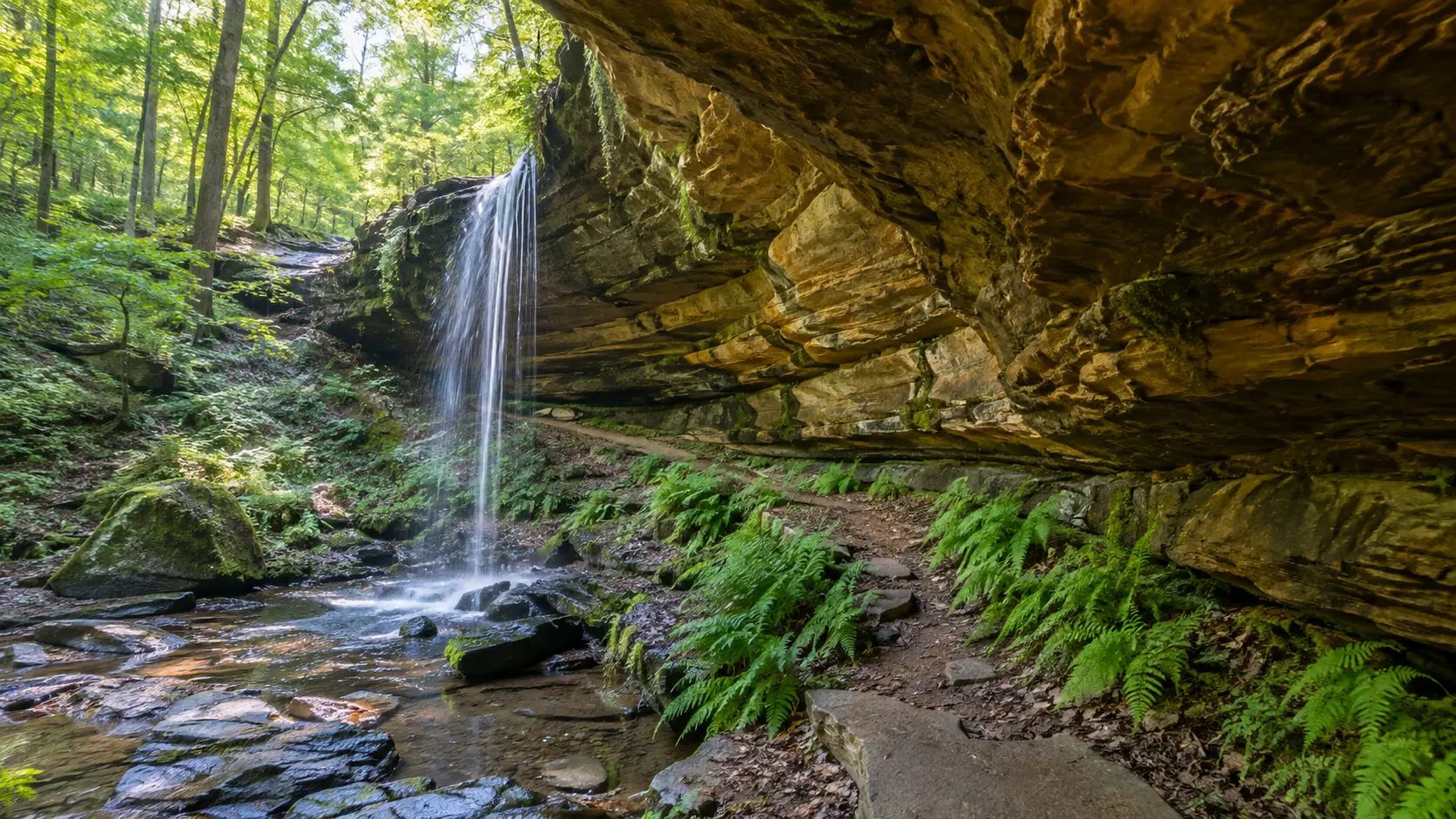 Stephens' Falls dropping beside a sandstone overhang and fern-lined trail at Governor Dodge State Park.