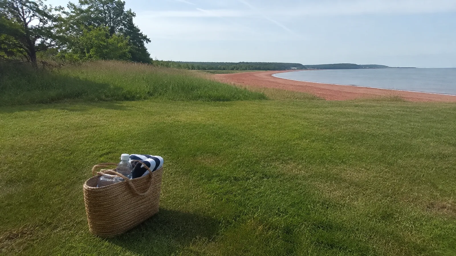 Picnic basket resting on grass above a red sand shoreline.