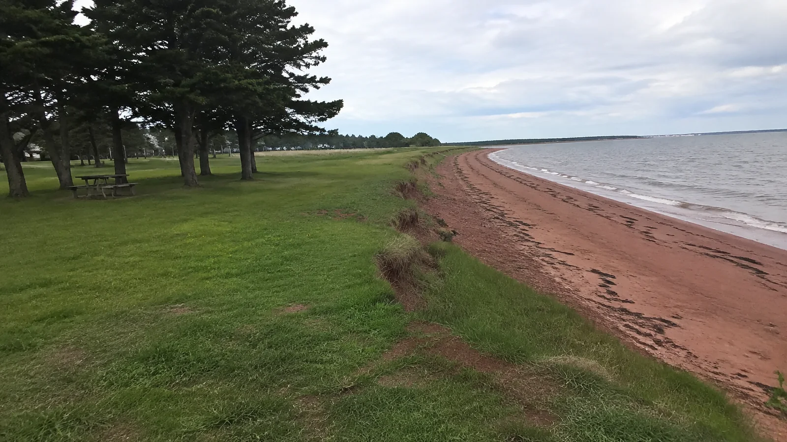 Grassy picnic area shaded by trees beside a gently curving beach.