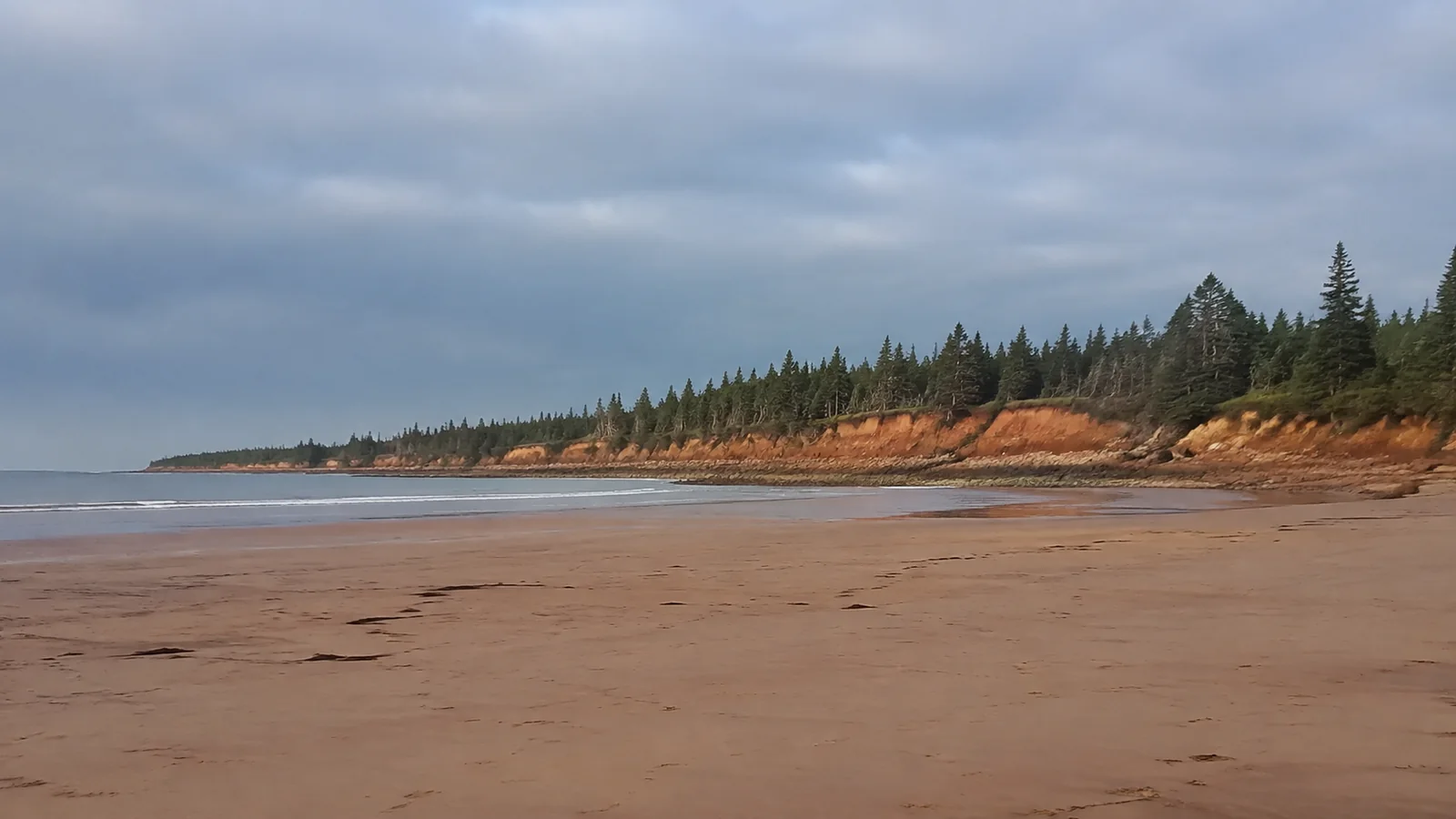Broad beach beneath red cliffs and a line of evergreen trees.
