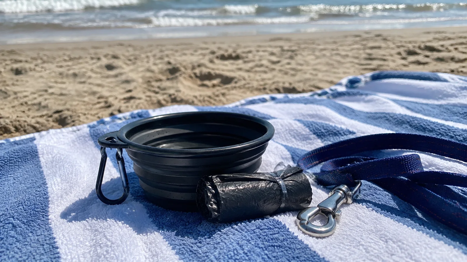 Collapsible dog bowl, leash and waste bags on a beach towel.