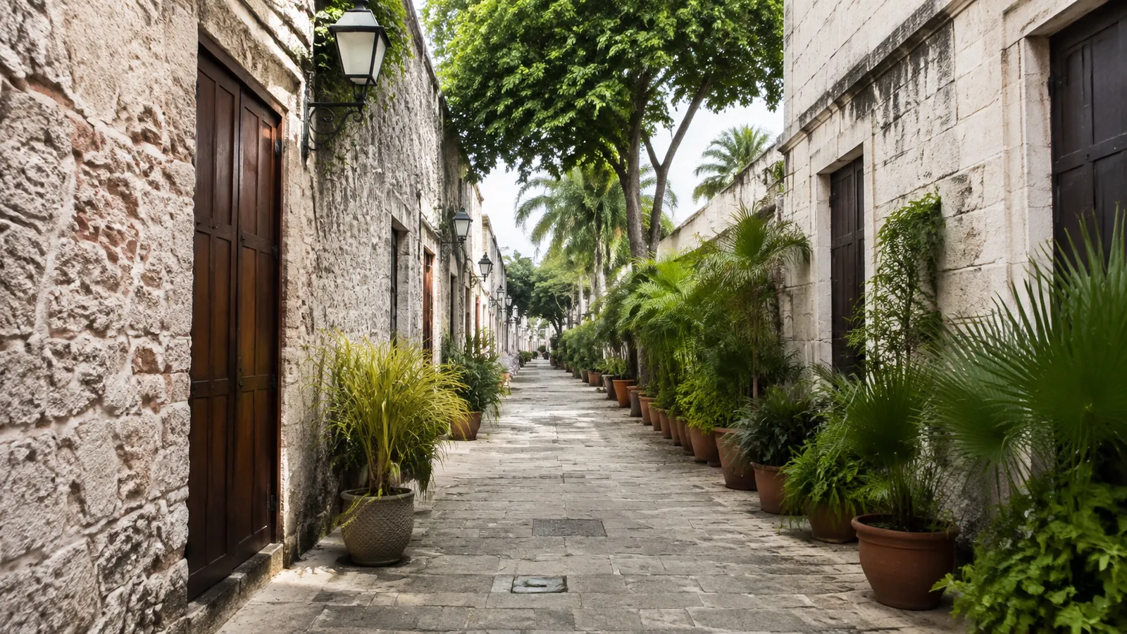 Narrow stone lane bordered by old buildings and potted tropical plants.
