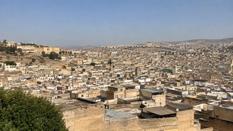 Dense earth-toned rooftops spread across a broad hillside city.