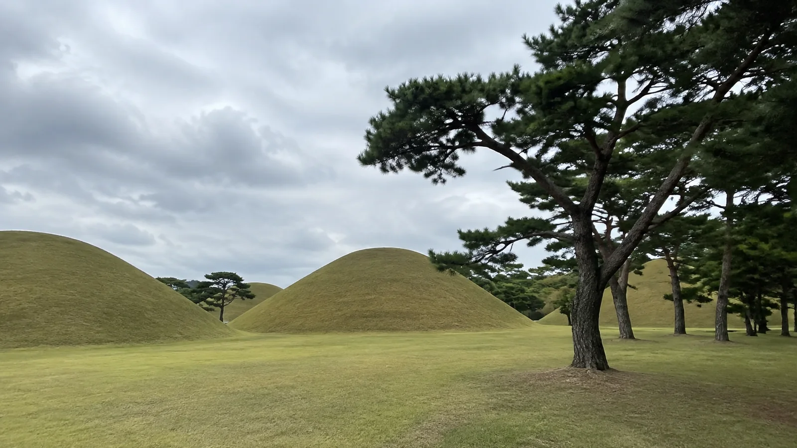 Rounded grassy burial mounds stand among sculptural pine trees.