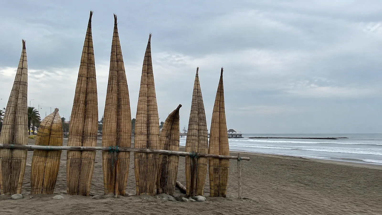 Tall narrow reed boats standing upright along a sandy beach.