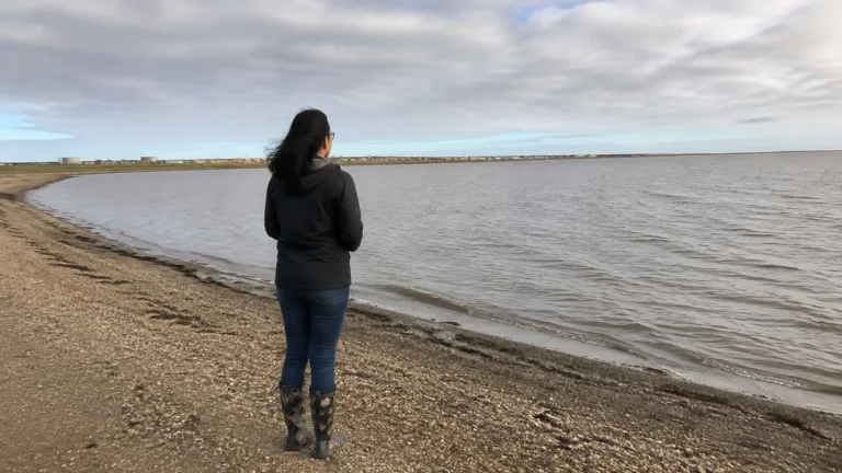 Woman stands on a gravel shoreline overlooking a broad gray sea.