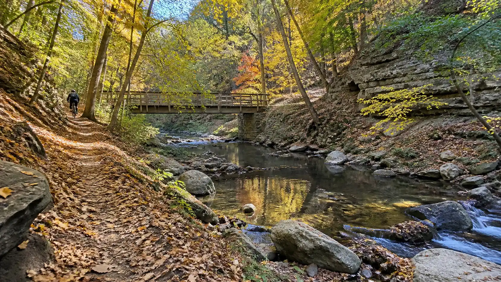 Wooded hiking trail in Battle Creek Regional Park.