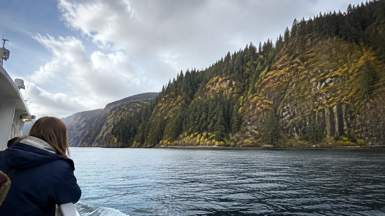 Passenger photographing forested cliffs from a river vessel.