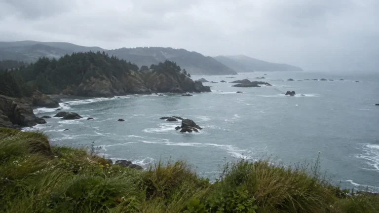 Rocky coastline and forested headlands fading into mist beyond breaking waves.