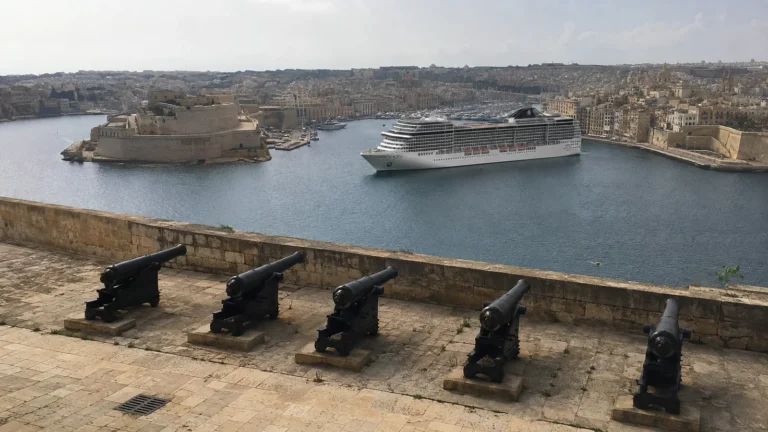 Historic cannons overlooking a harbor with a large cruise ship.