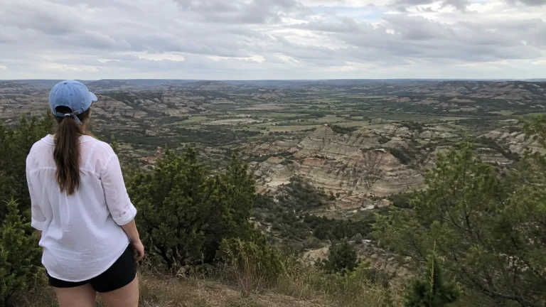 Traveler at an overlook above layered badlands and green valleys.