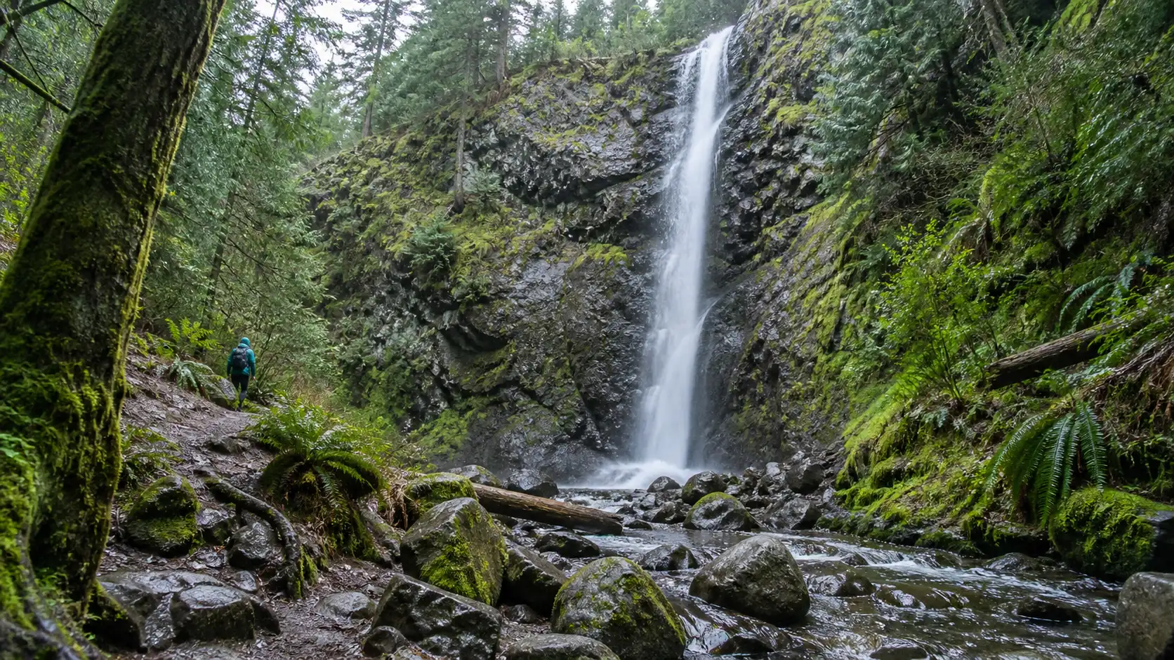 Ammonite Falls descending a mossy cliff near Nanaimo on Vancouver Island