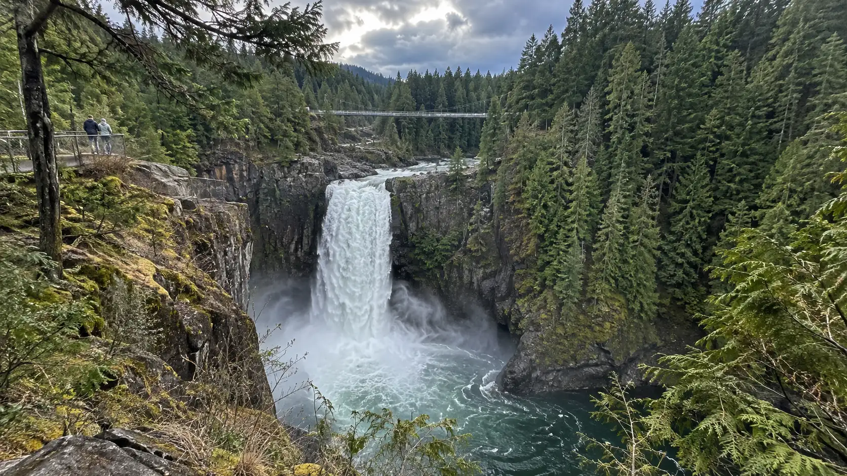 Elk Falls plunging into a forest canyon near Campbell River