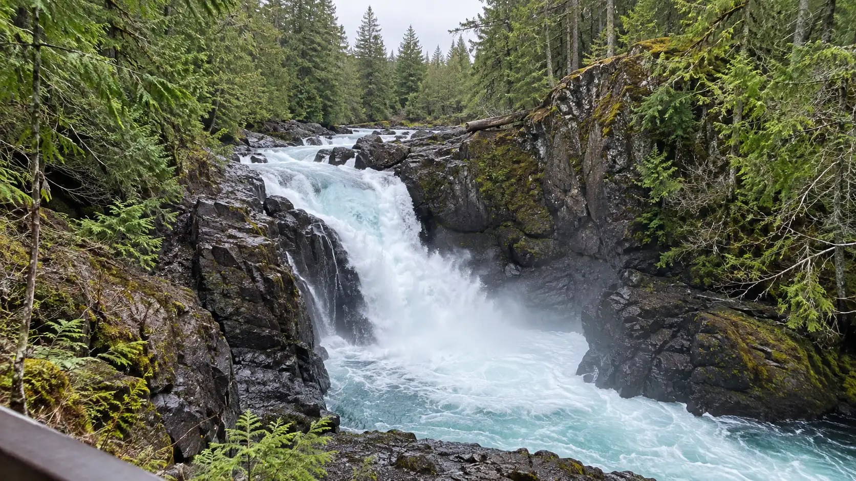 Englishman River Falls rushing through a rocky canyon on Vancouver Island