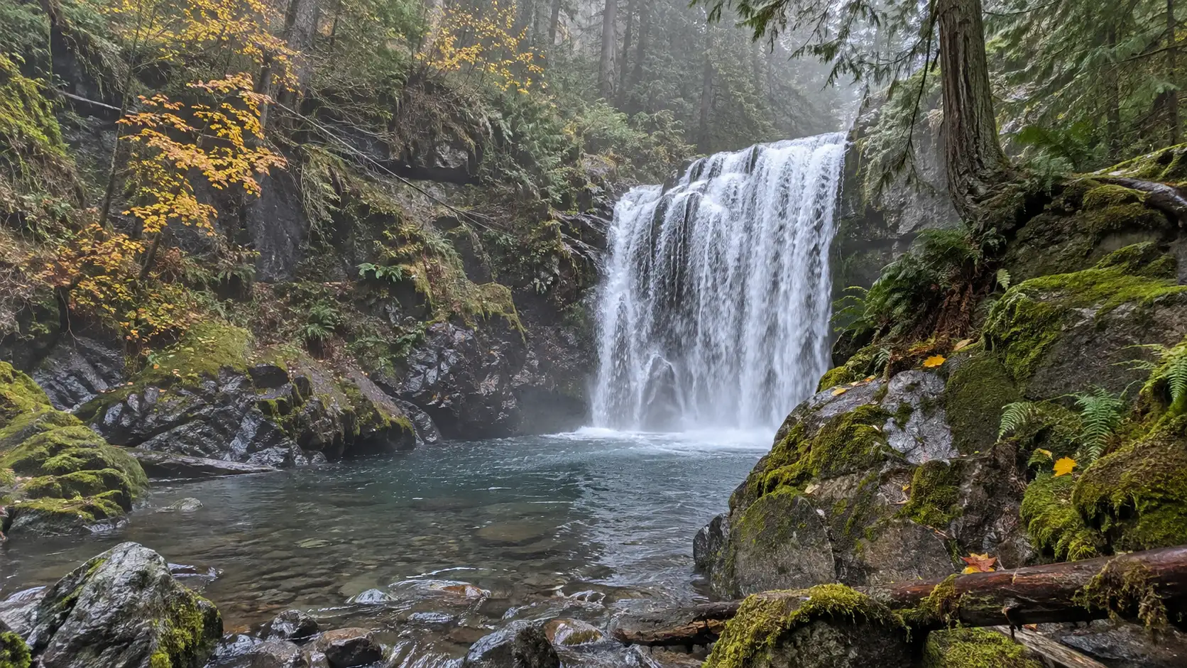 Goldstream Falls flowing into a forest pool on Vancouver Island