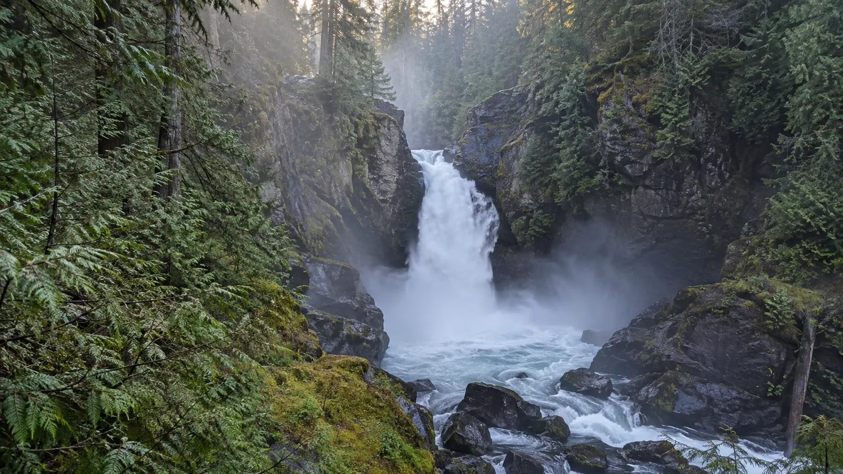 Lady Falls plunging through a rocky cleft in Strathcona Provincial Park