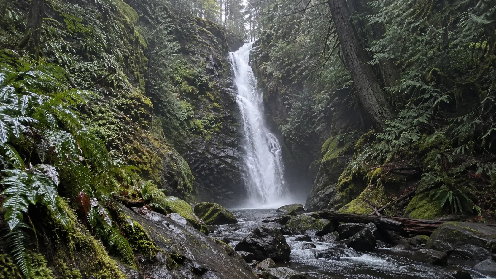 Niagara Falls dropping through a mossy rainforest ravine in Goldstream Provincial Park on Vancouver Island