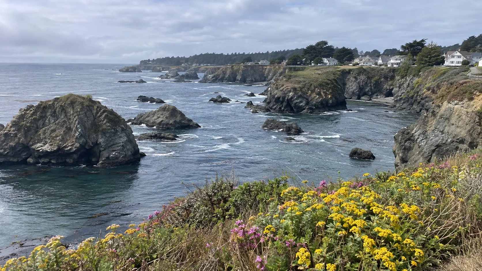 Wildflowers, sea stacks, and white cottages along the rugged Mendocino Headlands.