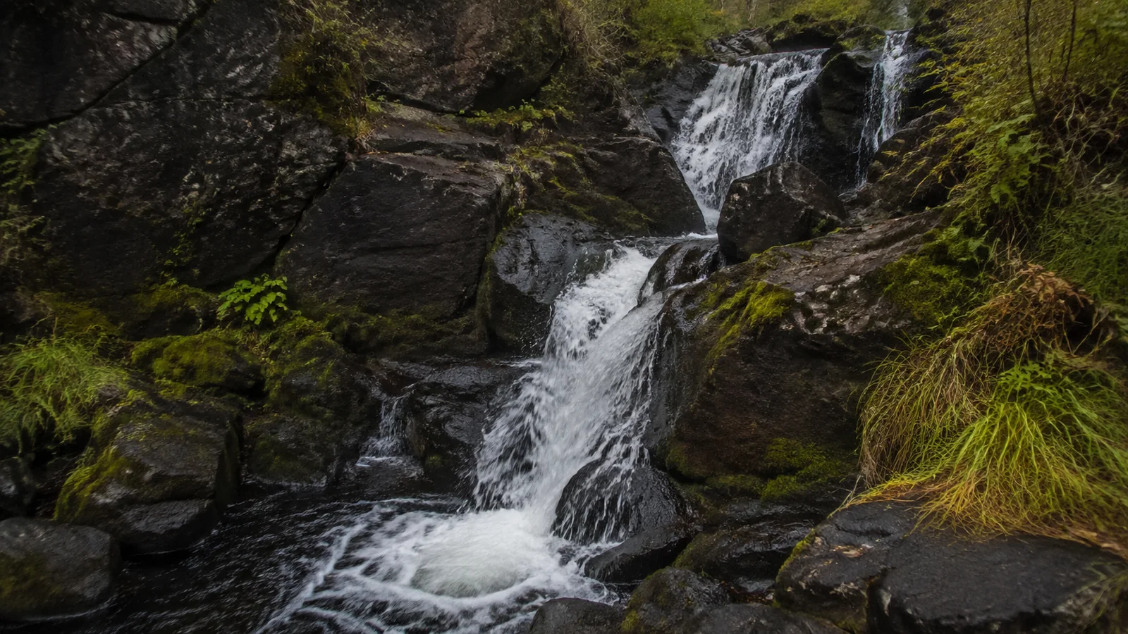 Small waterfall tumbles between moss-covered rocks beside wet grass.