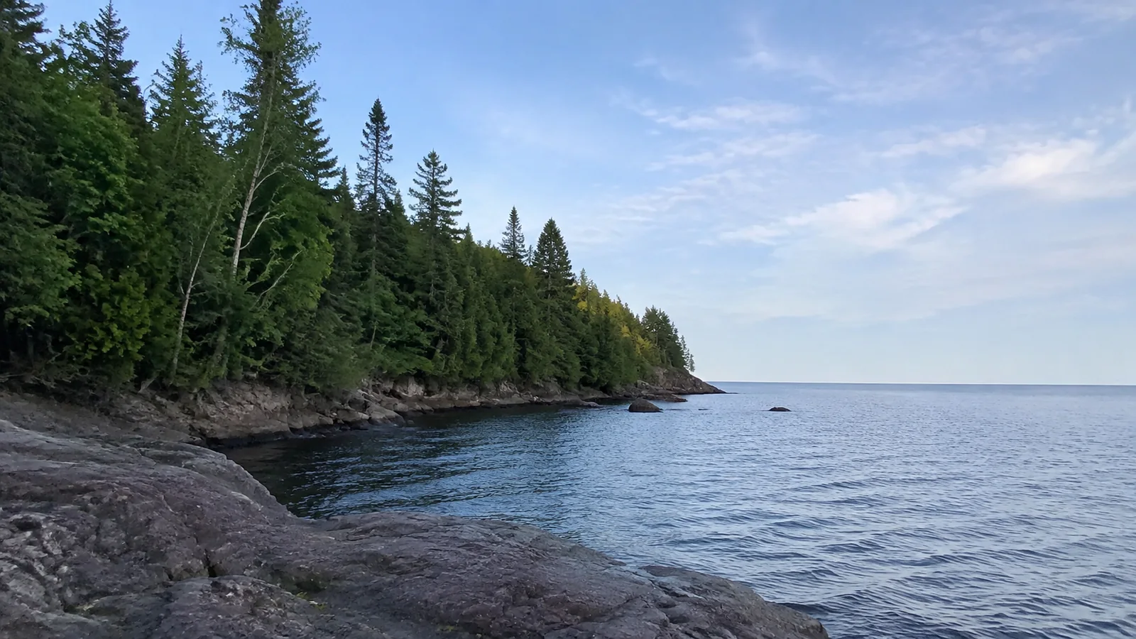 Evergreen trees line a rocky shore beside calm blue water.