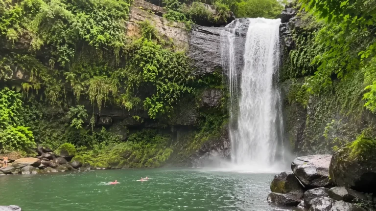 Tall waterfall flowing into a turquoise pool surrounded by lush vegetation