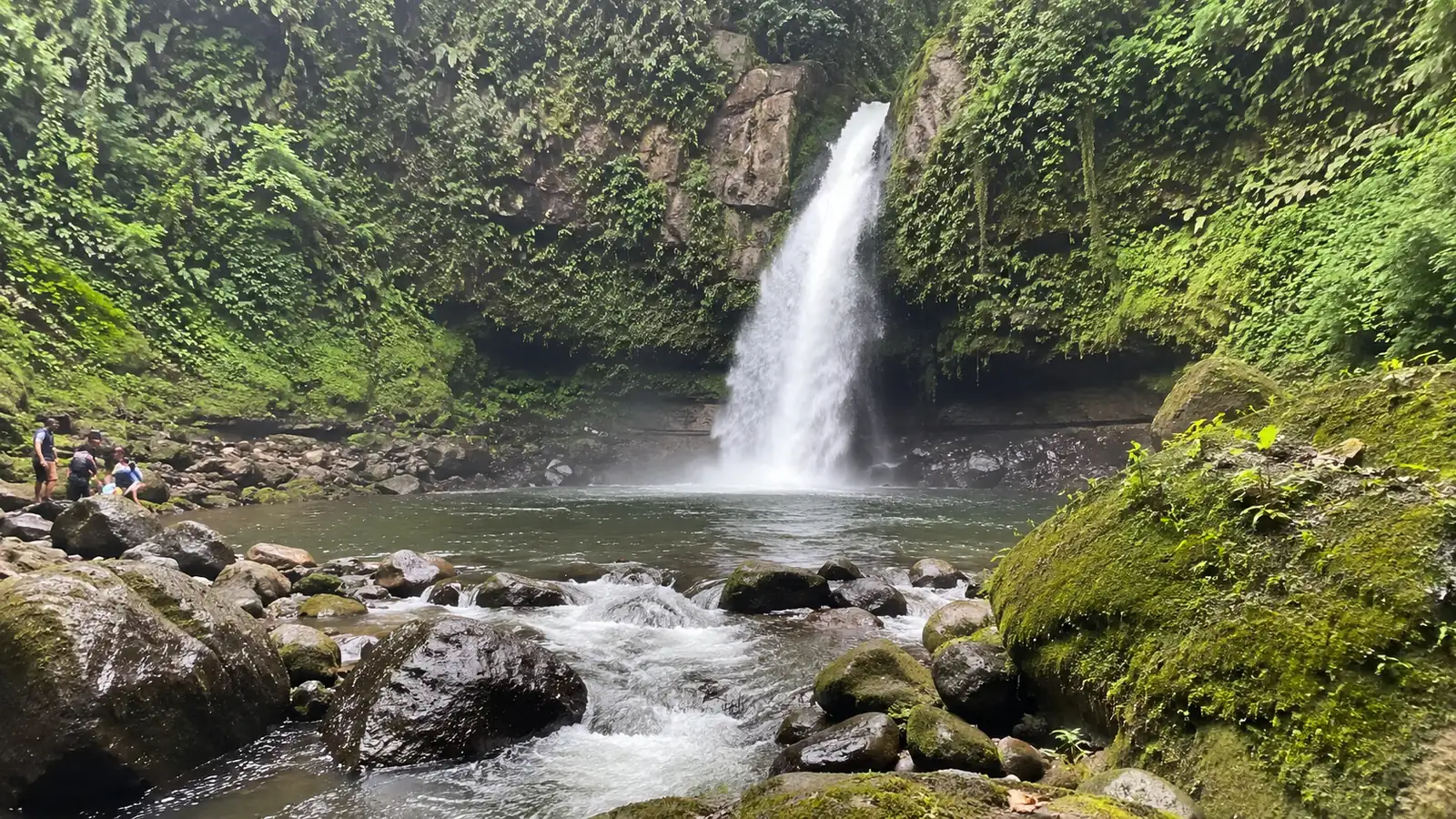 Tall waterfall dropping into a rocky stream in dense tropical forest