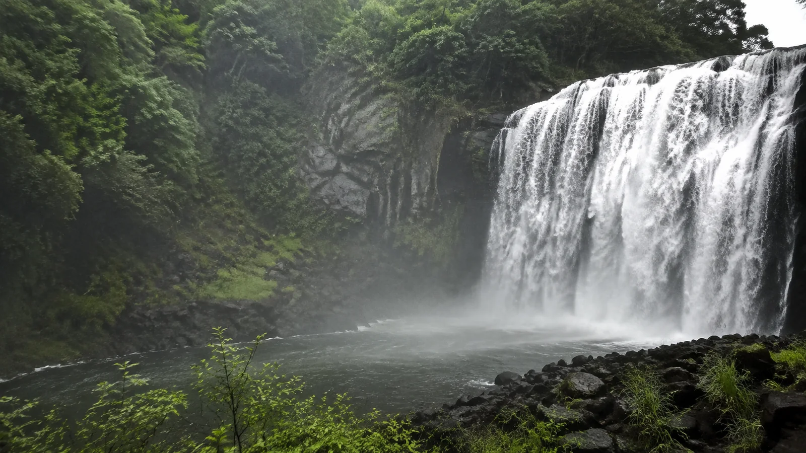 Wide waterfall plunges into a dark forest pool surrounded by moss.