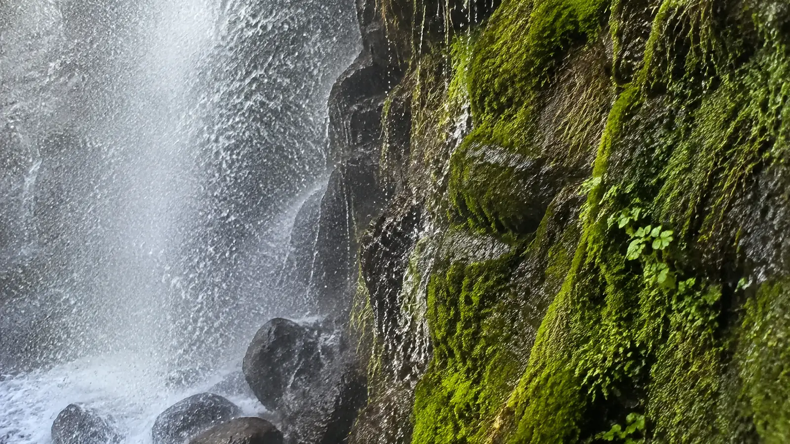 Waterfall spray beside bright green moss growing on dark rock.