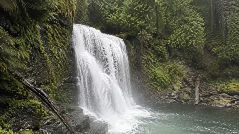 Broad waterfall dropping into a forest pool