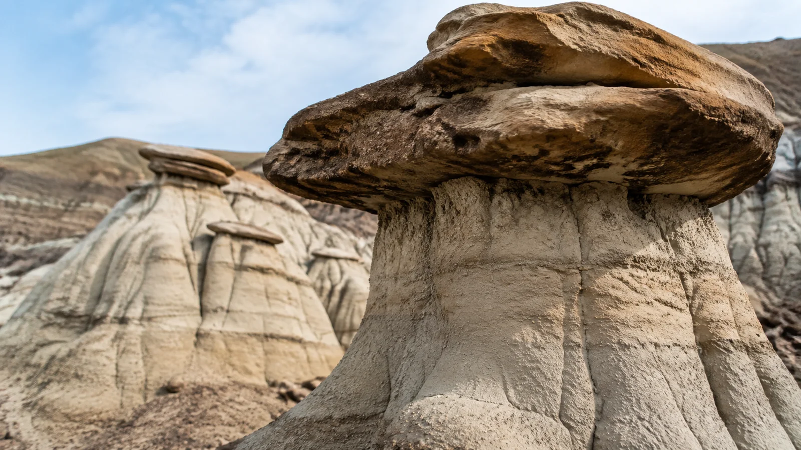 Close view of a hoodoo with a broad brown cap and pale pillar.