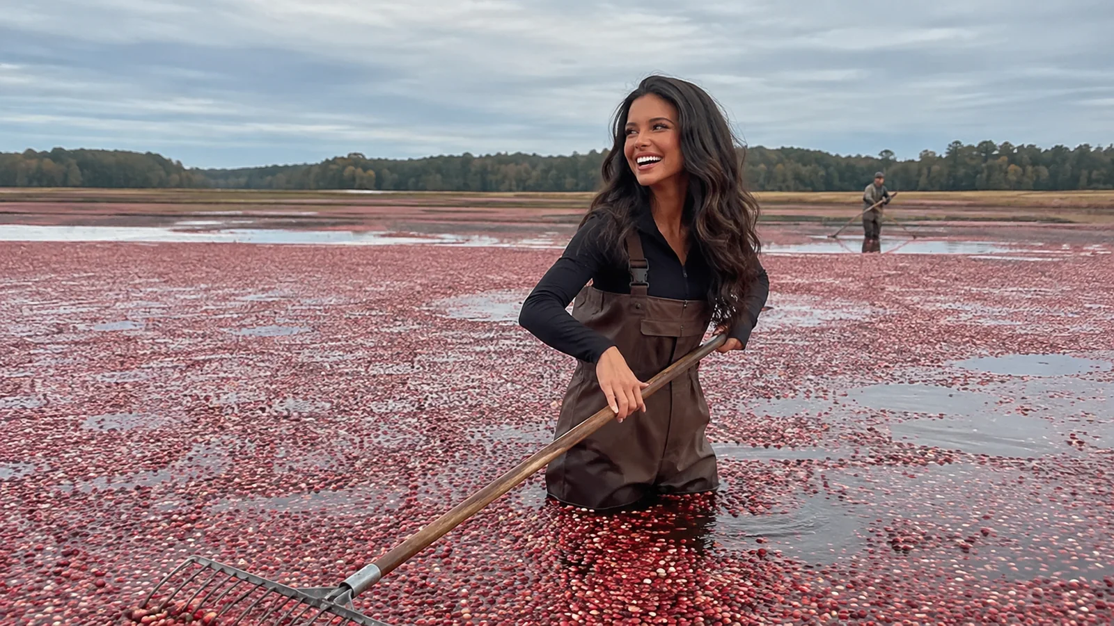 Woman wearing waders holds a harvesting tool in a flooded cranberry bog.